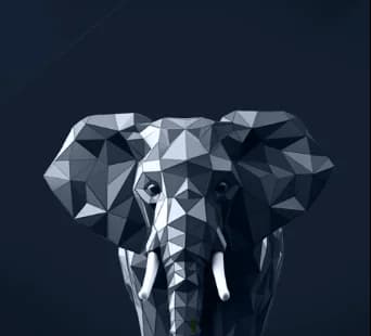 Unicorn vs Elephant: Two Models for Building Enduring Companies